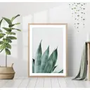 Постер 28 картин "Листья алоэ" 50x70 см, в подарочном тубусе без рамы