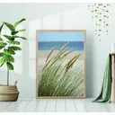 Постер 28 картин "Колосья травы на ветру" 50x70 см, в подарочном тубусе без рамы