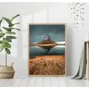 Постер 28 картин "Одинокая гора" 50x40 см в подарочном тубусе без рамы