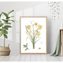 Постер 28 картин "Нарциссы" 70x50 см в подарочном тубусе без рамы