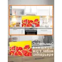 Защитный экран Borntoprint Сочный арбуз 60x90x0.4 см закаленное стекло цвет прозрачный
