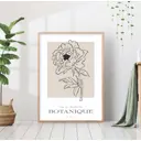 Постер 28 картин "Цветок иллюстрация" 40x50 см в подарочном тубусе без рамы