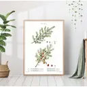 Постер 28 картин "Хвоя" 50x70 см в подарочном тубусе без рамы