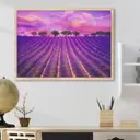 Постер 28 картин "Лавандовое поле на закате" 50x70 см в подарочном тубусе без рамы