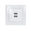 Розетка двойная встраиваемая Unit Vita USB 5V 2.1 цвет белый