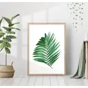Постер 28 картин Пальма Листья 40x50 см в подарочном тубусе без рамы