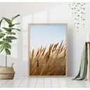Постер 28 картин "Пшеница" 40x50 см в подарочном тубусе без рамы