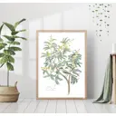 Постер 28 картин "Птица на ветке акации" 40x50 см в подарочном тубусе без рамы