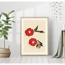 Постер 28 картин "Грейпфрут в разрезе" 50x40 см без рамы