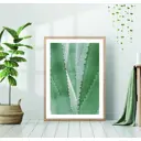 Постер 28 картин "Стебли алоэ" 70x50 см без рамы