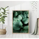 Постер 28 картин Тропики Крупные листья 40x50 см в подарочном тубусе без рамы