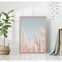 Постер 28 картин Сухие колосья Эстетика 40x50 см в подарочном тубусе без рамы