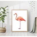 Постер 28 картин Фламинго Иллюстрация 40x50 см в подарочном тубусе без рамы