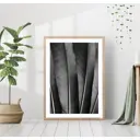 Постер 28 картин "Черные перья" 50x70 см в подарочном тубусе без рамы