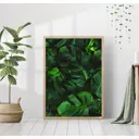 Постер 28 картин Тропики Монстера 50x70 см в подарочном тубусе без рамы