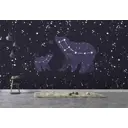 Фотообои флизелиновые Luxury walls 500x270 см Медведи Звезды AM14405