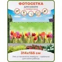 Фотосетка Art ФС067-Л Утро в тюльпанах с люверсами 314x155см