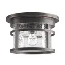 Светильник уличный потолочный E27 Odeon Light 4044_1C Nature 60 Вт IP44 цвет черный
