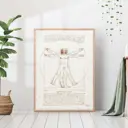 Постер 28 картин "Витрувианский человек да Винчи репродукция" 50x40 см в тубусе без рамы