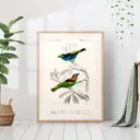 Постер 28 картин "Две птицы на ветке иллюстрация в ретро стиле" 70x50 см в тубусе без рамы