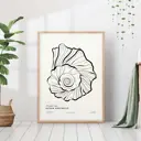 Постер 28 картин "Ракушка" 70x50 см в тубусе без рамы