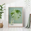 Постер 28 картин "Лист монстеры в вазе" 50x40 см, в тубусе без рамы