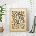 Постер 28 картин "Цветы иллюстрация" 70x50 см, в тубусе без рамы