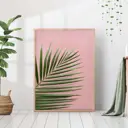 Постер 28 картин "Ветка пальмы на розовом" 70x50 см, в тубусе без рамы