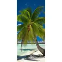 Наклейка для дверей и мебели Wallfix "Красивая пальма" 95x220 см, W120