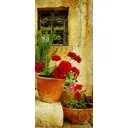 Наклейка для дверей и мебели Wallfix "Красные цветы в горшке" 95x220 см, W123