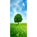 Наклейка для дверей и мебели Wallfix "Деревце" 95x220 см W134