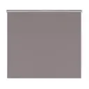Рулонная штора Prakto Blackout Silver 140x175 см цвет серый