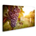 Постер Студия фотообоев "Гроздь винограда" 50x80 см