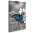 Постер Студия фотообоев "Синяя бабочка" 80x50 см