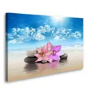 Постер Студия фотообоев "Орхидеи на пляже" 50x80 см