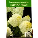 Гортензия Шугар Раш ø9 см h55 см