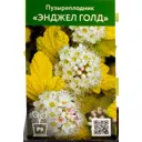 Пузыреплодник Энджел Голд ø9 см h70 см