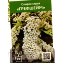 Спирея серая Грефшейм ø9 см h40 см