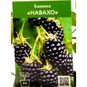 Ежевика Навахо h70 см