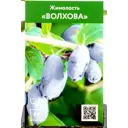 Жимолость Волхова h30 см