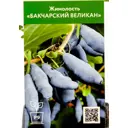 Жимолость Бакчарский Великан ø9 h30 см