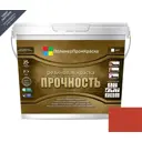 Краска резиновая ПолимерПромКраска 000.0101.03 цвет кирпично-красный 10 л