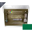 Краска резиновая ПолимерПромКраска 000.0111.01 цвет зеленый 10 л