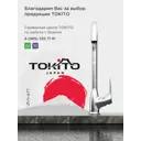 Смеситель для кухни однорычажный Tokito Tak-1012 излив 14.9 см цвет хром