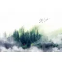 Фотообои флизелиновые DeliceDecor И 1260 Туман 400x270см