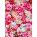 Фотообои флизелиновые DeliceDecor И 1295 Россыпь роз 200x270см