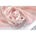 Фотообои флизелиновые DeliceDecor И 1444 Персиковая ткань 400x270см