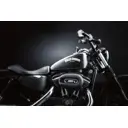 Фотообои флизелиновые DeliceDecor И 181 харлей 300x200см