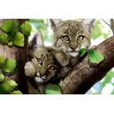 Фотообои флизелиновые DeliceDecor И 392 Рысята 300x200см