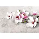 Фотообои флизелиновые DeliceDecor И 503 Магнолия 400x270см